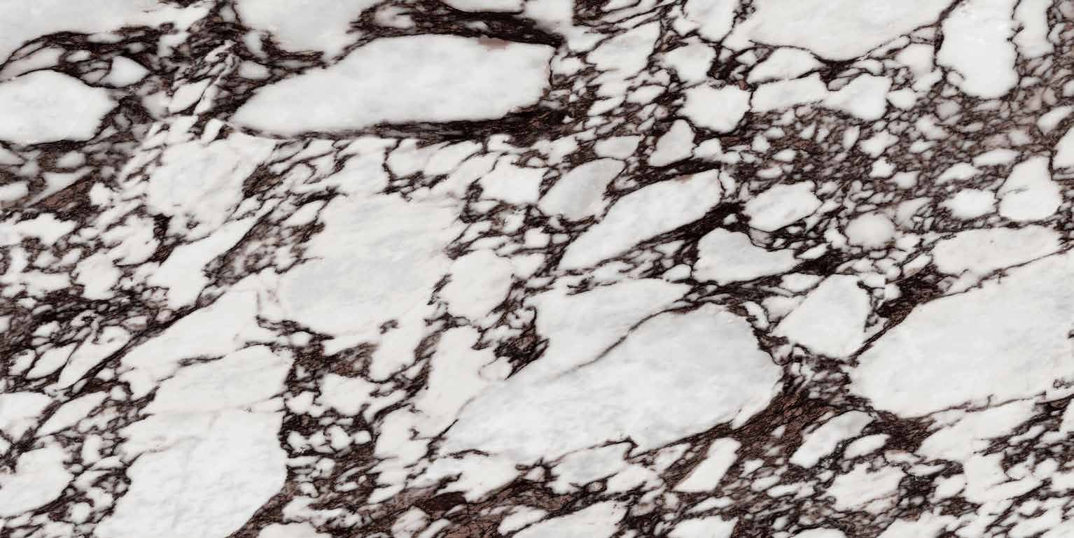 OROZCO - 宝格丽紫